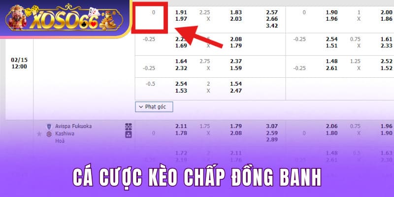 Cá cược kèo chấp đồng banh