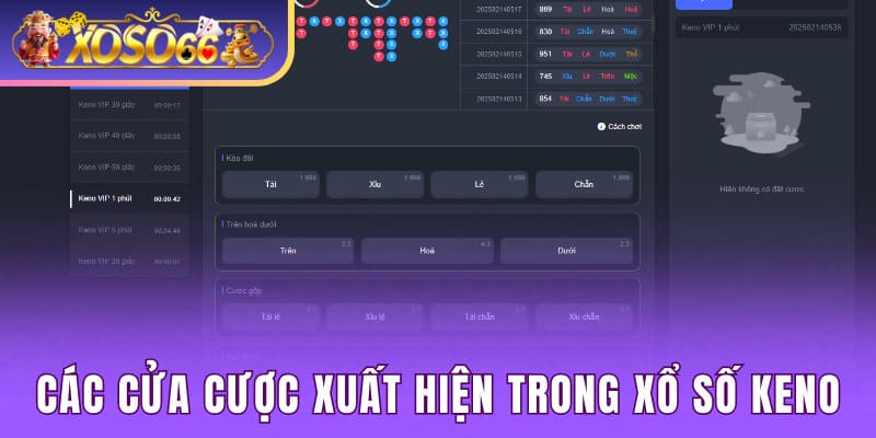 Các cửa cược xuất hiện trong xổ số keno