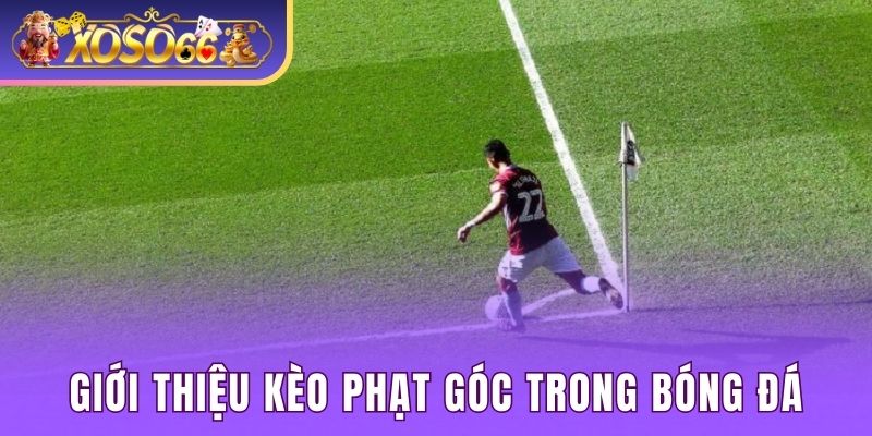 Giới thiệu khái niệm kèo cược phạt góc trong bóng đá