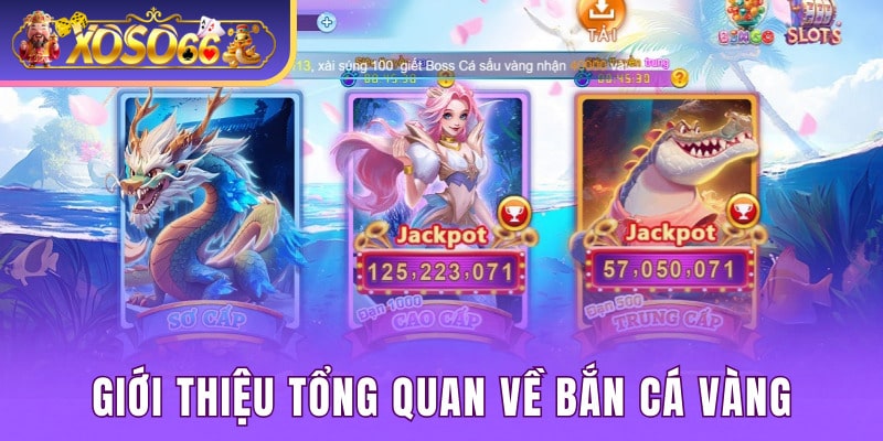 Giới thiệu tổng quan về trò chơi bắn cá hấp dẫn