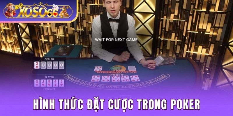 Hình thức cá cược của game bài Poker