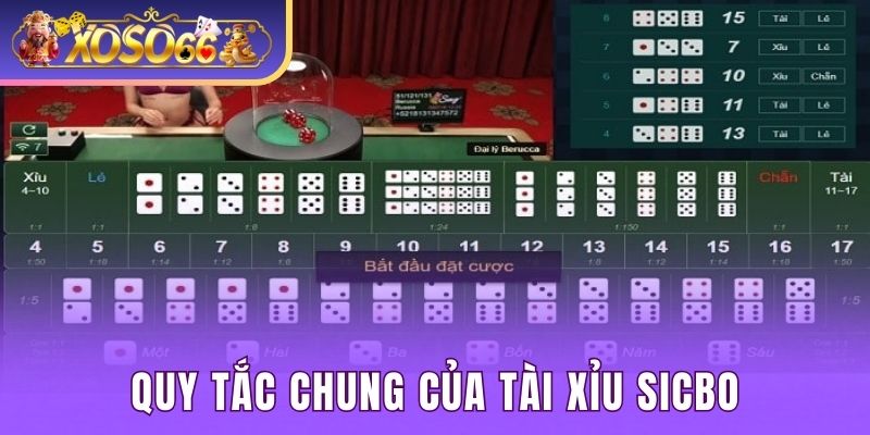 Quy tắc chung trên bàn cược của Tài xỉu