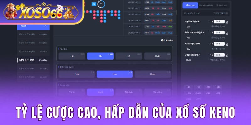 Tỷ lệ cược cao, hấp dẫn của xổ số keno